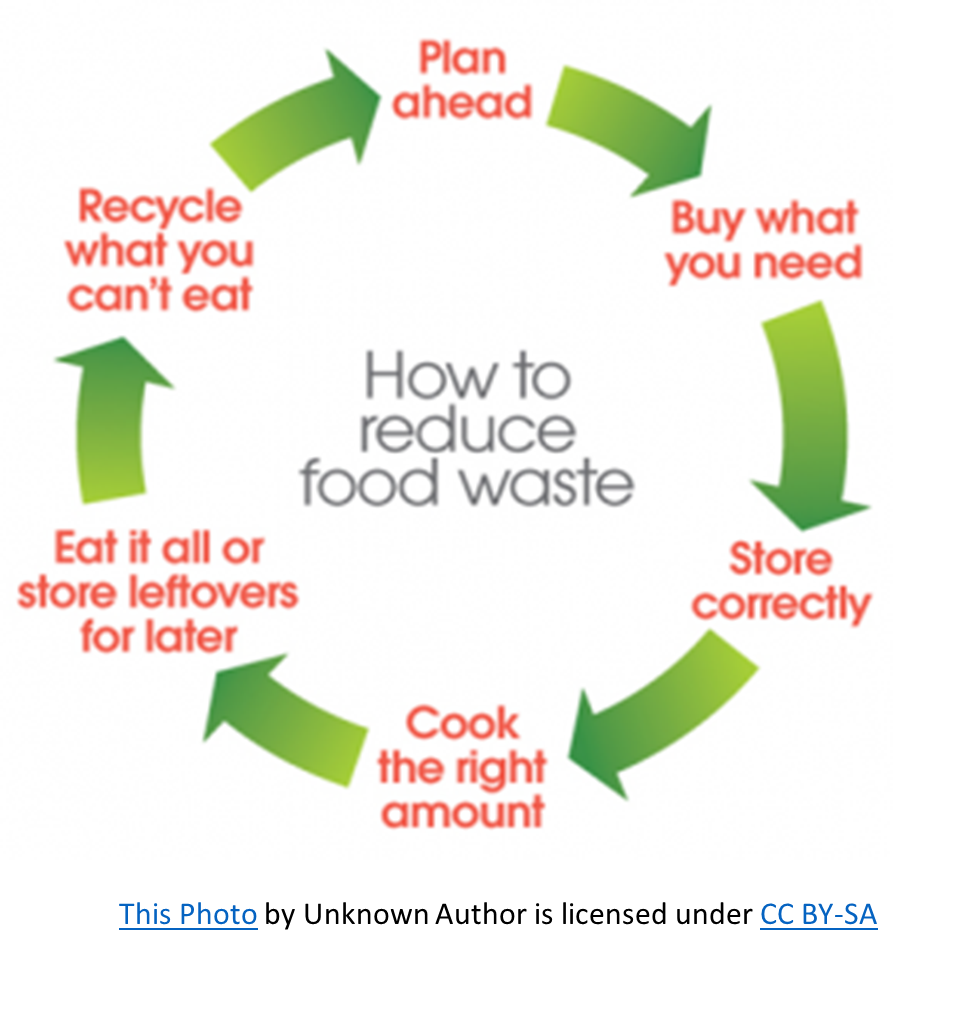 Outline How To Dispose Of Food Waste Safely